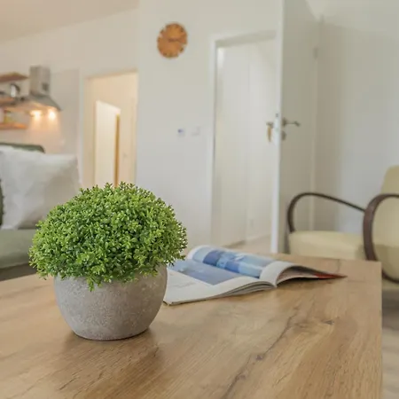 Krusnohor Apartment